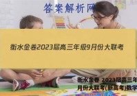 衡水金卷 2023届高三年级9月份大联考(新高考)数学答案