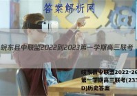 皖东县中联盟2022-2023第一学期高三联考(233312D)历史答案