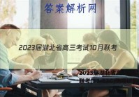 2023届湖北省高三考试10月联考(23-22C)物理试题答案