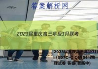 2023届重庆高三年级3月联考（807C·C QING）l物理试卷 答案(更新中)