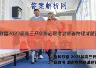 百师联盟 2023届高三开年摸底联考 湖南卷物理试题答案