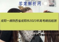 [咸阳一模]陕西省咸阳市2023年高考模拟检测(一)1地理答案