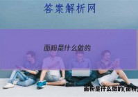 面粉是什么做的(面粉)答案