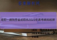 [咸阳一模]陕西省咸阳市2023年高考模拟检测(一)1文科数学答案