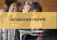 2023届湖北省高三10月联考(23-87C)政治答案
