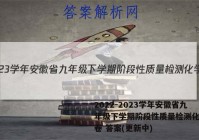 2022-2023学年安徽省九年级下学期阶段性质量检测化学试卷 答案(更新中)