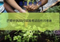 巴蜀中学2023届高考适应性月考卷(二)2物理答案