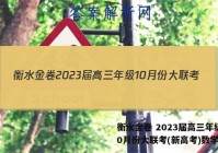 衡水金卷 2023届高三年级10月份大联考(新高考)数学答案