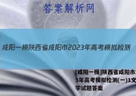 [咸阳一模]陕西省咸阳市2023年高考模拟检测(一)1文科数学试题答案