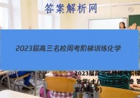 2023届高三名校周考阶梯训练 化学(十八)18答案试卷 答案(更新中)
