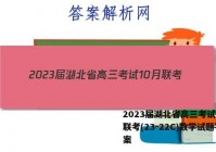 2023届湖北省高三考试10月联考(23-22C)数学试题答案
