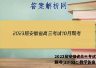 2023届安徽省高三考试10月联考(23-52C)数学答案