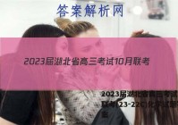 2023届湖北省高三考试10月联考(23-22C)化学试题答案