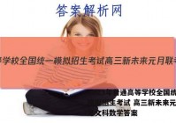 2023年普通高等学校全国统一模拟招生考试 高三新未来元月联考文科数学答案