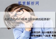 名校之约 2023届高三分科模拟检测卷1(一)化学 考卷答案