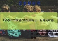 1号卷·A10联盟2023届高三一轮复习试卷(二)2地理试题答案