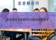 衡水金卷先享题 2023届调研卷 数学(新高考)(二)2答案试卷答案(更新中)