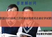 百师联盟 2023届高三开年摸底联考 河北卷化学试题答案