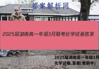 2025届湖南高一年级3月联考化学试卷 答案(更新中)