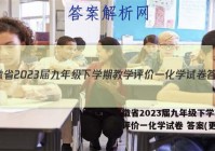 安徽省2023届九年级下学期教学评价一化学试卷 答案(更新中)