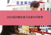 2023届内蒙古高三试卷10月联考(23-NM01C)化学答案