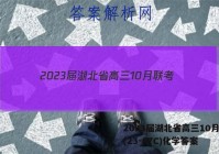 2023届湖北省高三10月联考(23-87C)化学答案