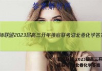 百师联盟 2023届高三开年摸底联考 湖北卷化学答案