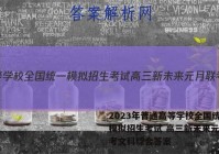 2023年普通高等学校全国统一模拟招生考试 高三新未来元月联考文科综合答案