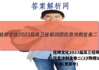 桂柳文化2023届高三桂柳鸿图信息冲刺金卷二(2)l物理试卷 答案(更新中)