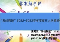 黑龙江“五校联谊”2022~2023学年度高三上学期期中考试(P3028C)数学试题答案