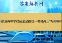 重庆康德2023年普通高等学校招生全国统一考试 高三11月调研测试卷物理答案