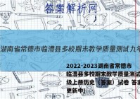 2022-2023湖南省常德市临澧县多校期末教学质量测试九年级上册历史（答案）试卷 答案(更新中)