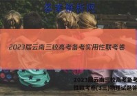 2023届云南三校高考备考实用性联考卷(3三)物理试题答案