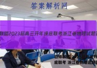 百师联盟 2023届高三开年摸底联考 浙江卷物理试题答案