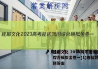 桂柳文化 2023高考桂柳鸿图综合模拟金卷一(1)理科数学试题答案