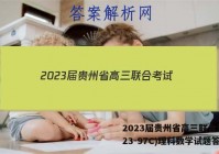 2023届贵州省高三联合考试(23-97C)理科数学试题答案