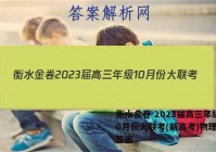 衡水金卷 2023届高三年级10月份大联考(新高考)物理试题答案