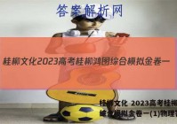 桂柳文化 2023高考桂柳鸿图综合模拟金卷一(1)物理答案