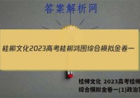 桂柳文化 2023高考桂柳鸿图综合模拟金卷一(1)政治答案