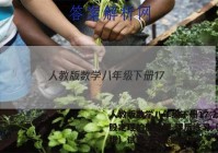 人教版数学八年级下册17.2勾股定理的逆定理 课后练习（含解析）试卷 答案(更新中)