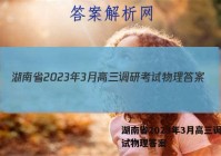 湖南省2023年3月高三调研考试物理答案