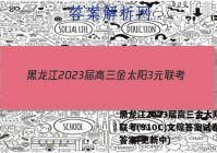 黑龙江2023届高三金太阳3元联考(910C)文综答案试卷 答案(更新中)