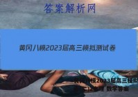 黄冈八模2023届高三模拟测试卷(二)2文理 数学答案