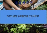 2023届金太阳重庆高三9月联考(802C·C QING)英语答案
