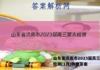 山东省济南市2023届高三期末检测(1月)物理答案