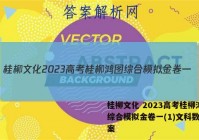 桂柳文化 2023高考桂柳鸿图综合模拟金卷一(1)文科数学答案