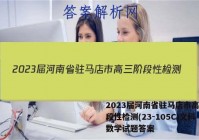 2023届河南省驻马店市高三阶段性检测(23-105C)文科数学试题答案