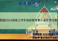 百师联盟 2023届高三开年摸底联考 重庆卷化学试题答案