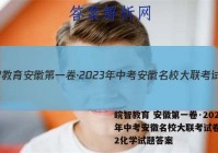皖智教育 安徽第一卷·2023年中考安徽名校大联考试卷(二)2化学试题答案