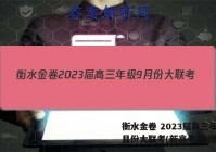 衡水金卷 2023届高三年级9月份大联考(新高考)物理答案